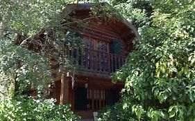 Cabaña Los Abetos 2